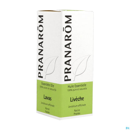 Lovage Essential Oil 5 mL