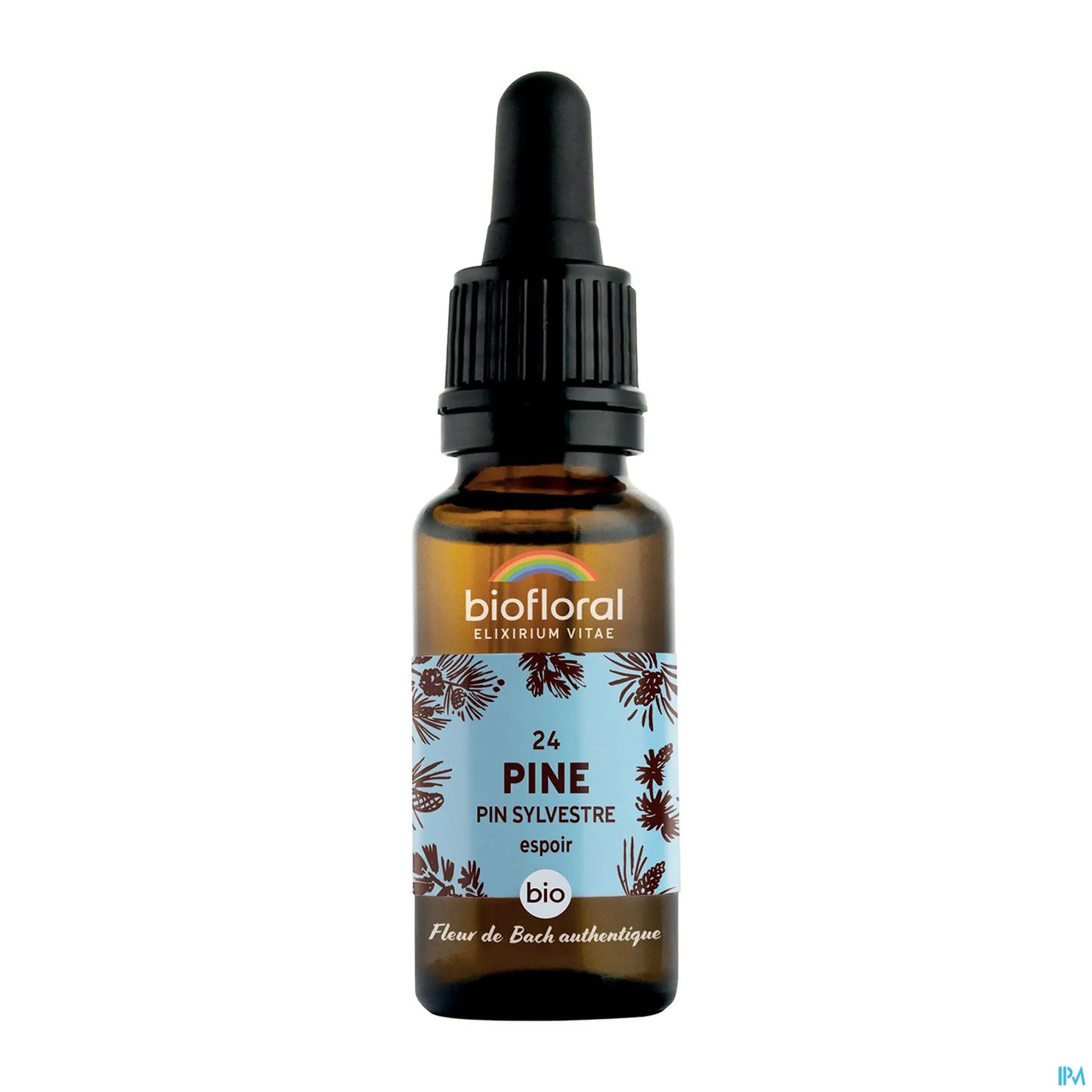 Bach Flower Scots Pine 20 mL