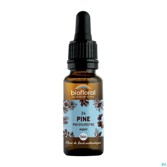 Fleur de Bach Pin Sylvestre 20 mL