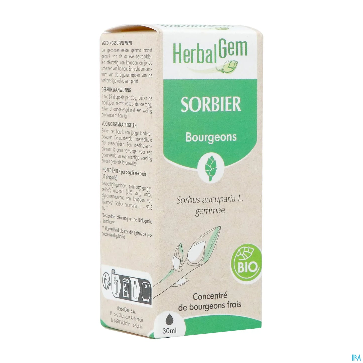 Organic Rowan Bud Macerate 30 mL