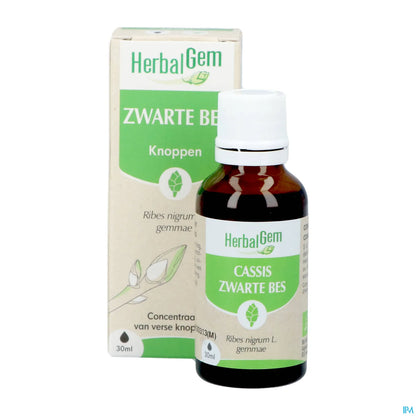 Macérât Mère Cassis Bio 30 mL