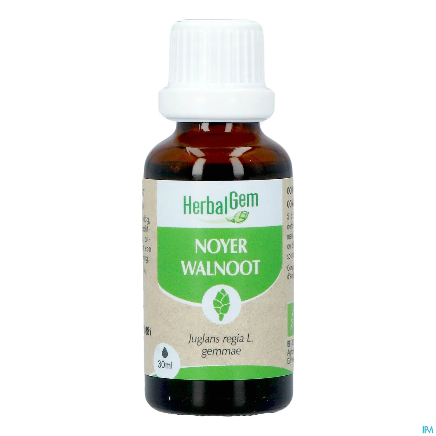 Macerato di noce madre 30 ml