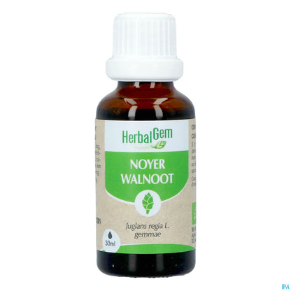Macerato di noce madre 30 ml