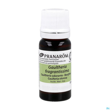 Huile Essentielle Gaultherie Odorante Feuille Bio 10ml