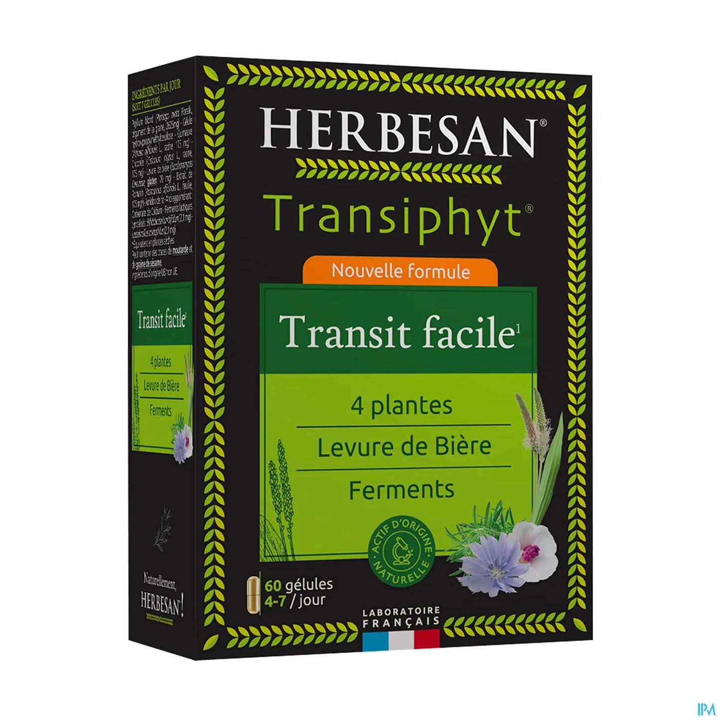 Transiphyt 60 Gélules Transit Intestinal