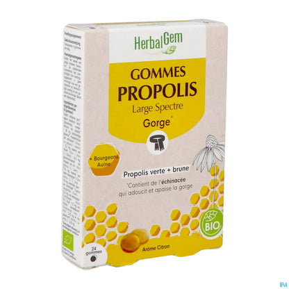 Propolis Large Spectre Gommes Bio 24 Gommes