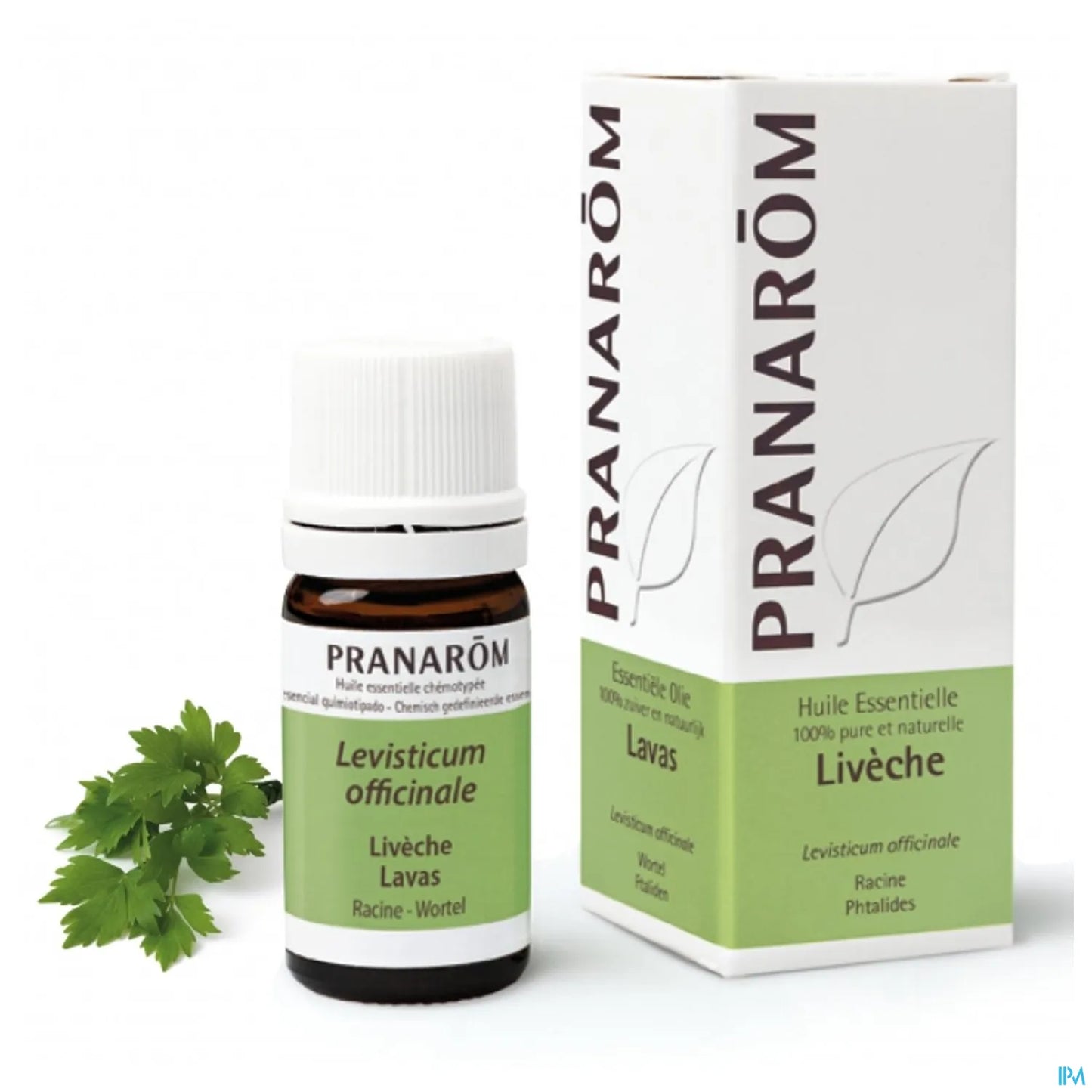 Lovage Essential Oil 5 mL