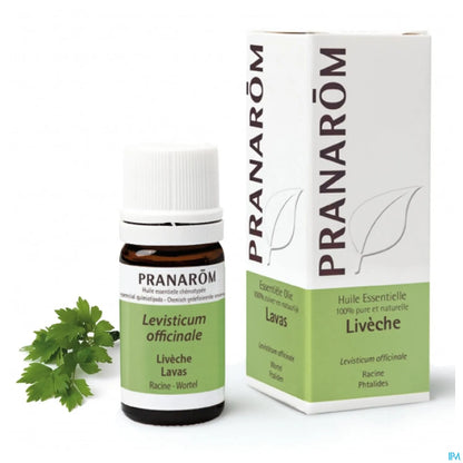 Lovage Essential Oil 5 mL