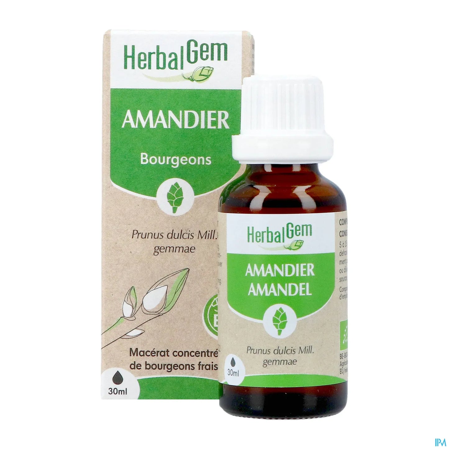 Macerato madre di mandorle biologico 30 ml