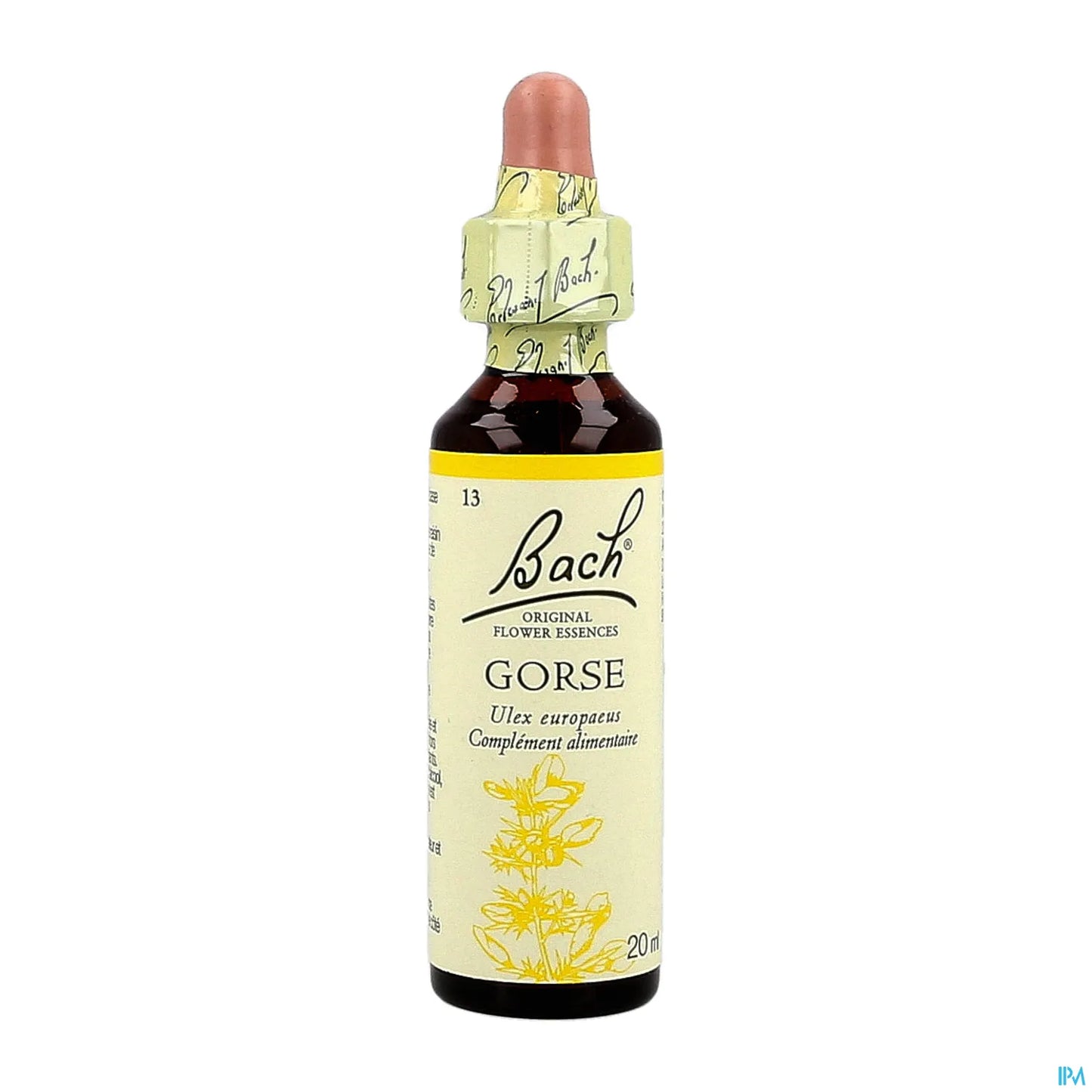 Original Gorse 20ml
