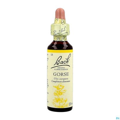 Original Gorse 20ml