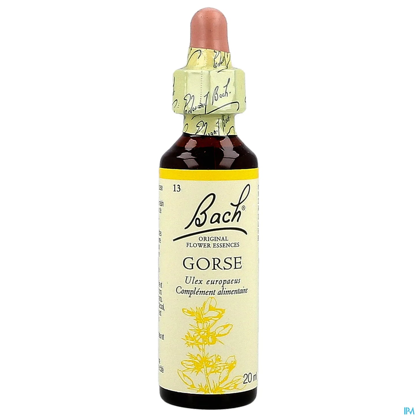 Original Gorse 20ml