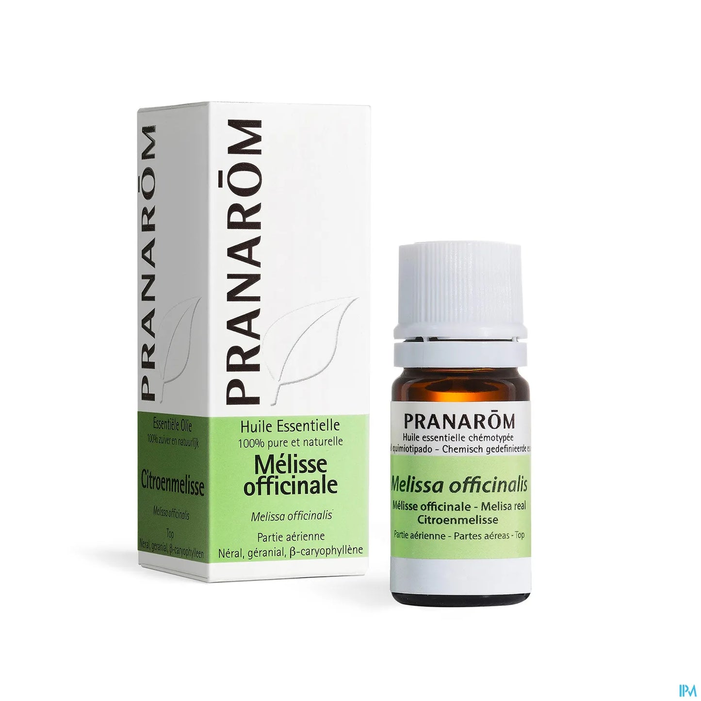 Huile Essentielle Mélisse Officinale 5 mL