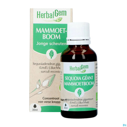 Organic Sequoia Mother Macerate 30 mL