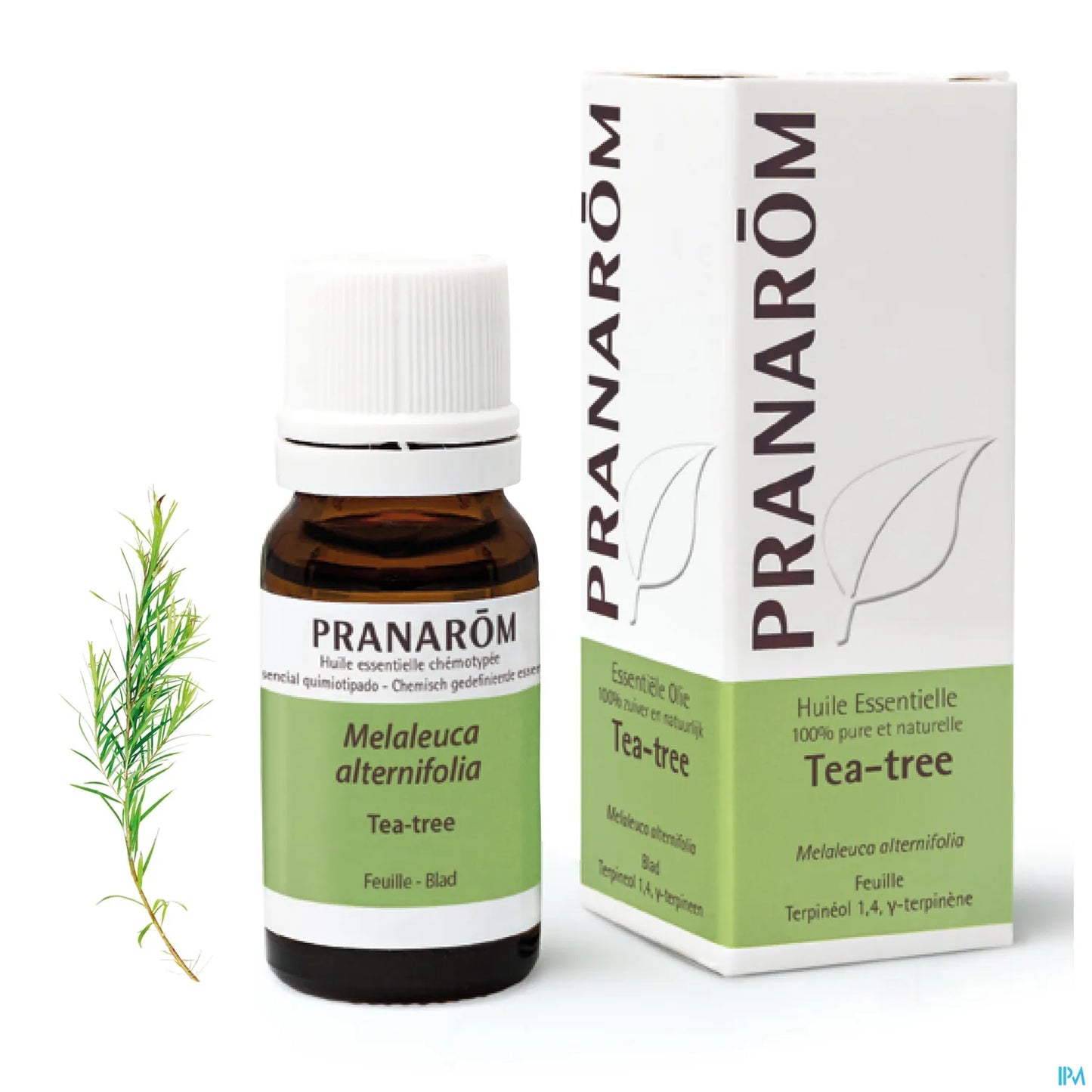 Olio essenziale di melaleuca 10 ml