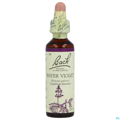 N. 34 Viola Acqua 20ml