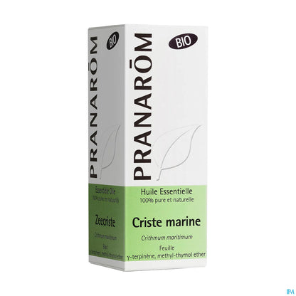 Criste Marine Essential Oil 5 mL