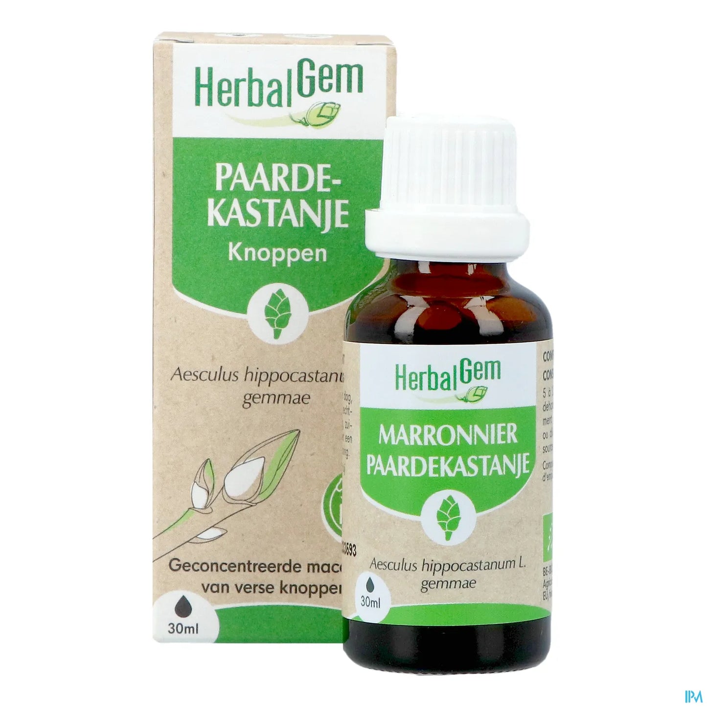 Organic Chestnut Bud 30 mL