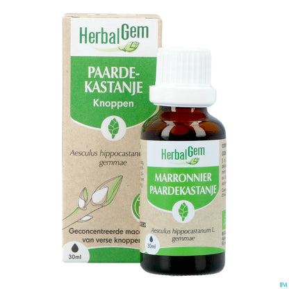 Organic Chestnut Bud 30 mL
