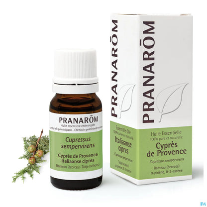Cipresso di Provenza 10 mL