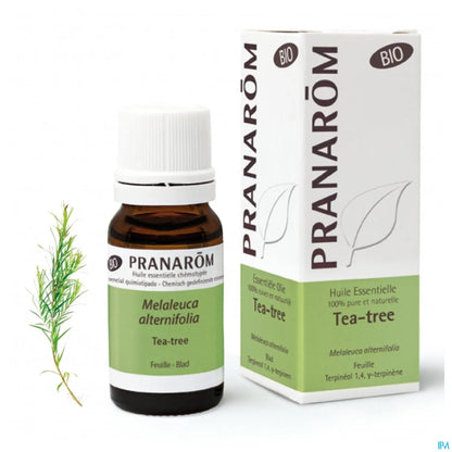 Olio essenziale di melaleuca biologico 10 ml
