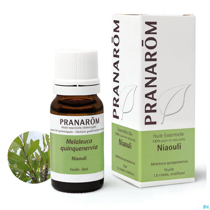 Olio essenziale di Niaouli 10 ml