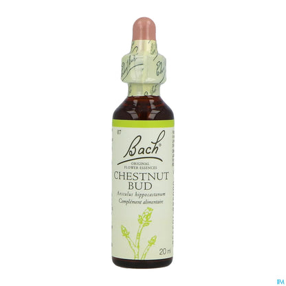 Chestnut Bud No. 07 Bach Flowers 20ml