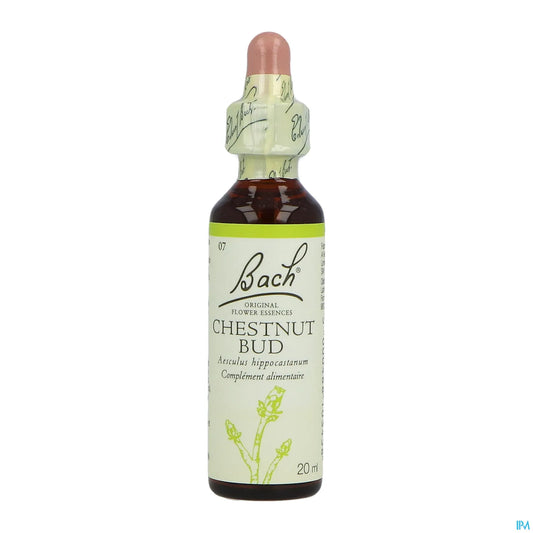 Chestnut Bud No. 07 Fiori di Bach 20ml