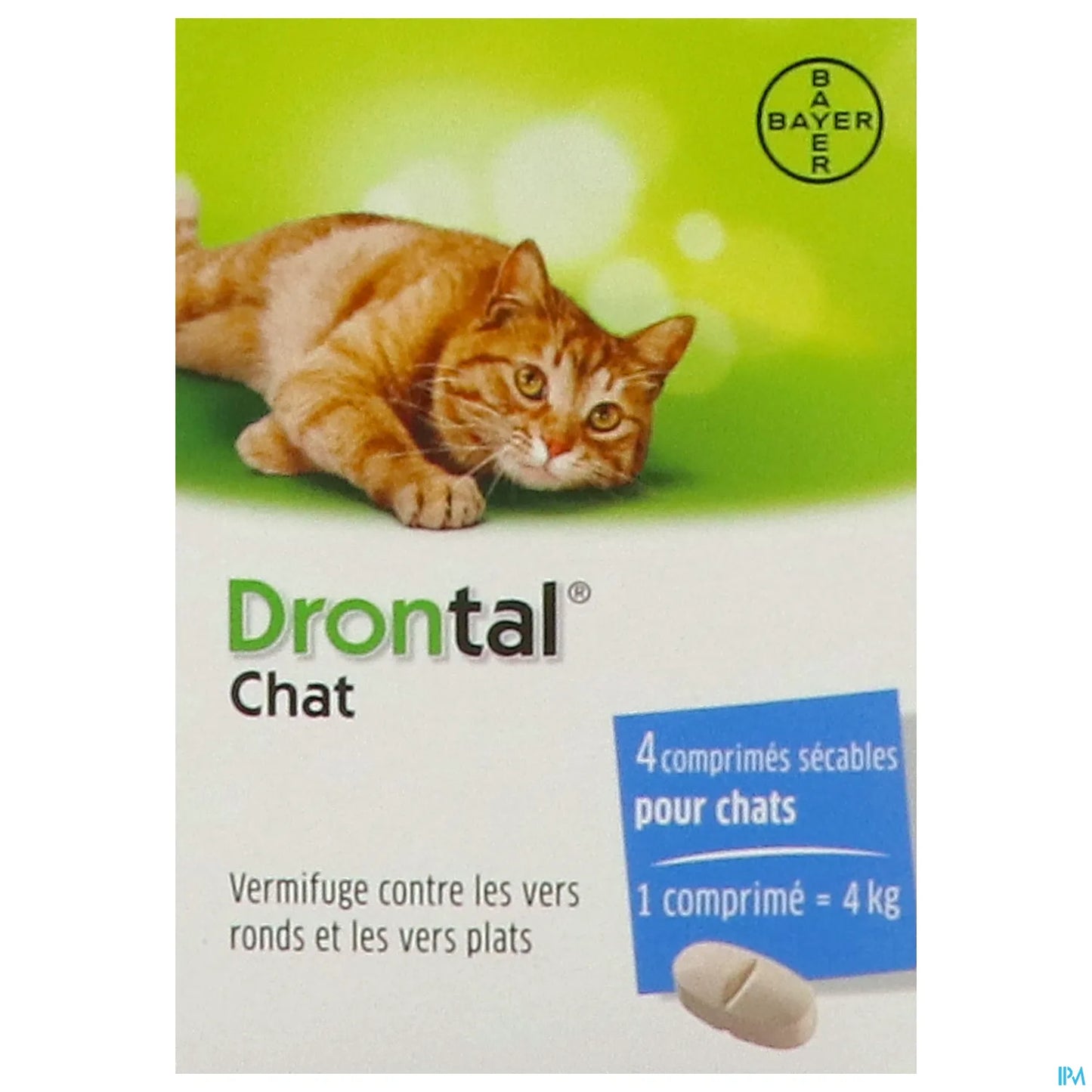 Bayer Drontal Cat Scatola da 4 Compresse
