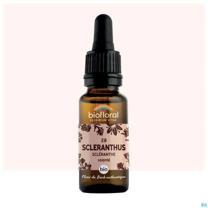 Scleranthus Fiori di Bach 20 mL