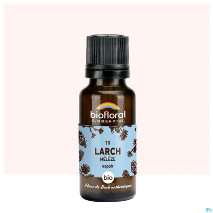 Bach Flower Larch 20 mL