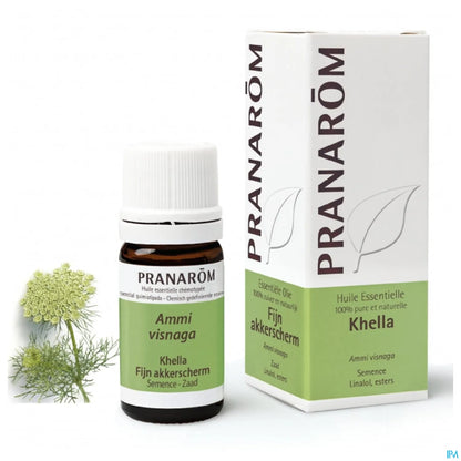 Khella Essential Oil 5 mL