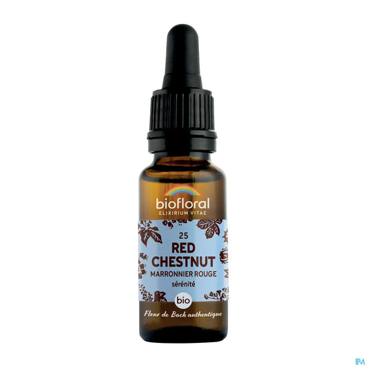 Marronnier Rouge 20 mL