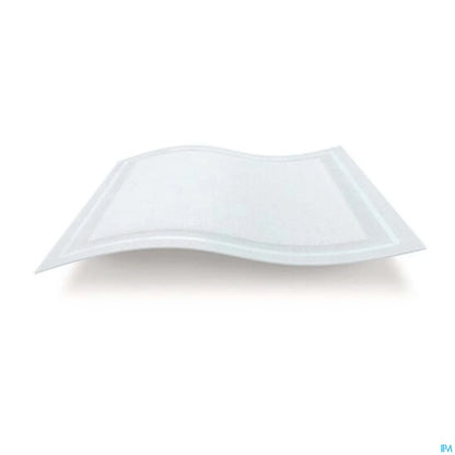 Kerramax Care 20x50 cm 10 units