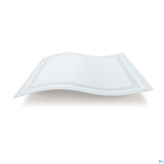 Kerramax Care 20x50 cm 10 unités