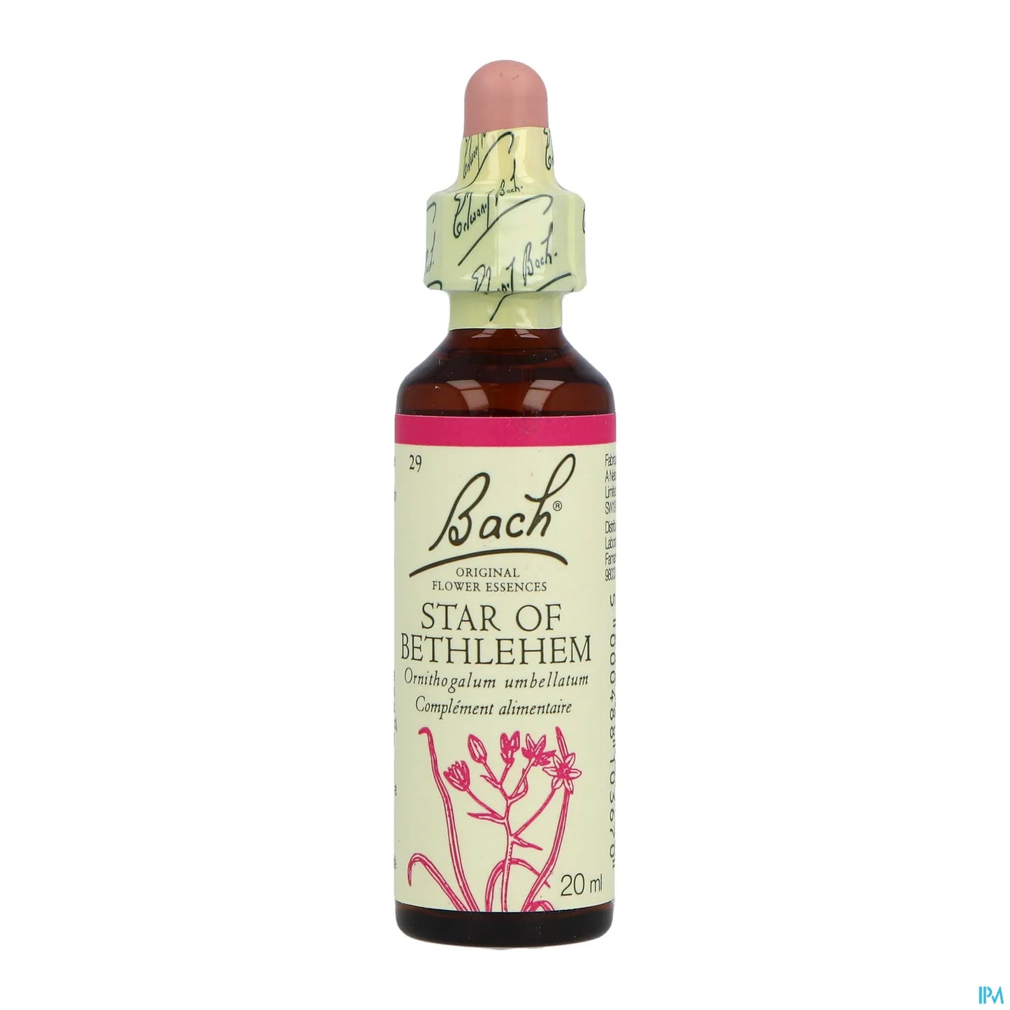 Star of Bethlehem 20ml