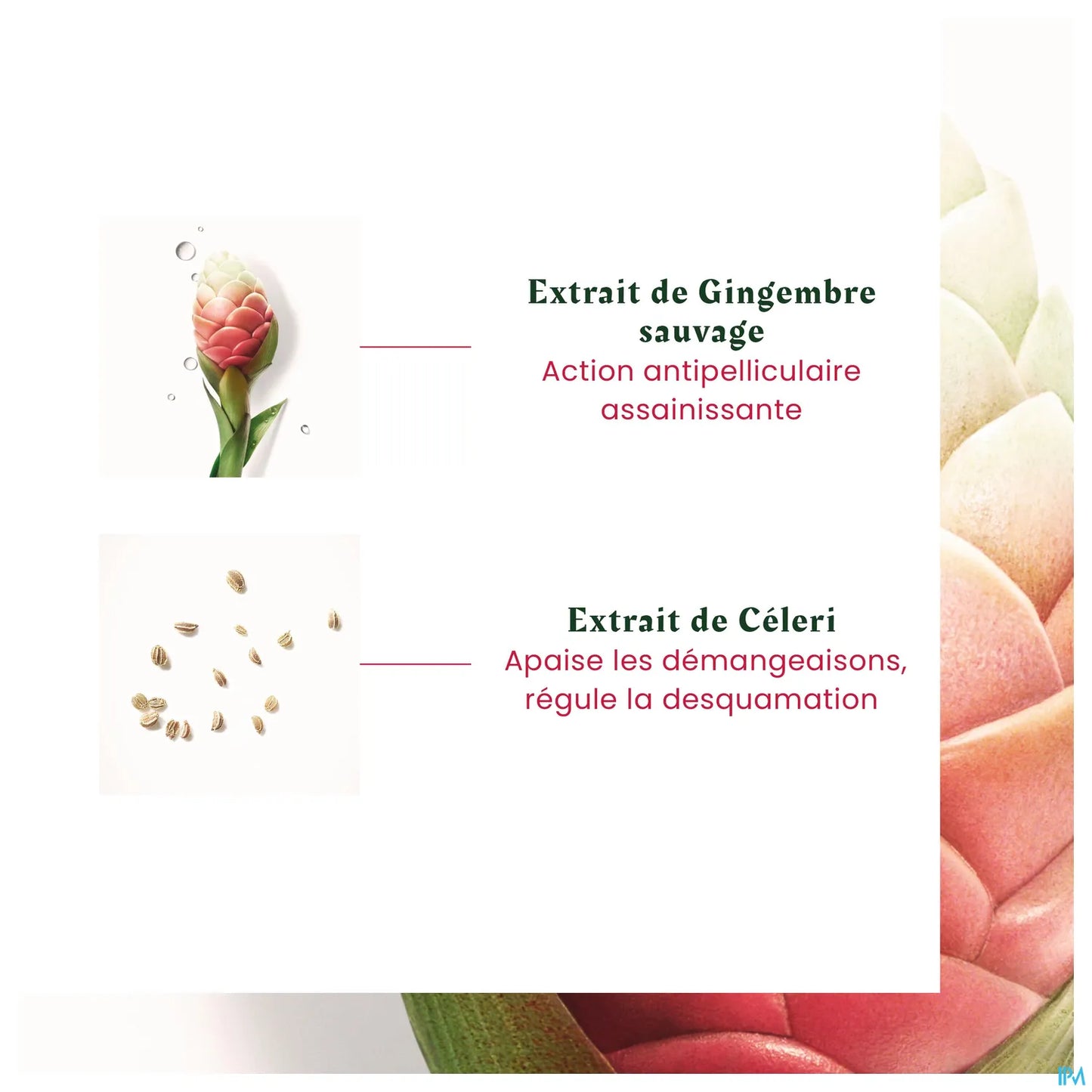 Neopur Shampoo Antiforfora Equilibrante Forfora Grassa 150ml
