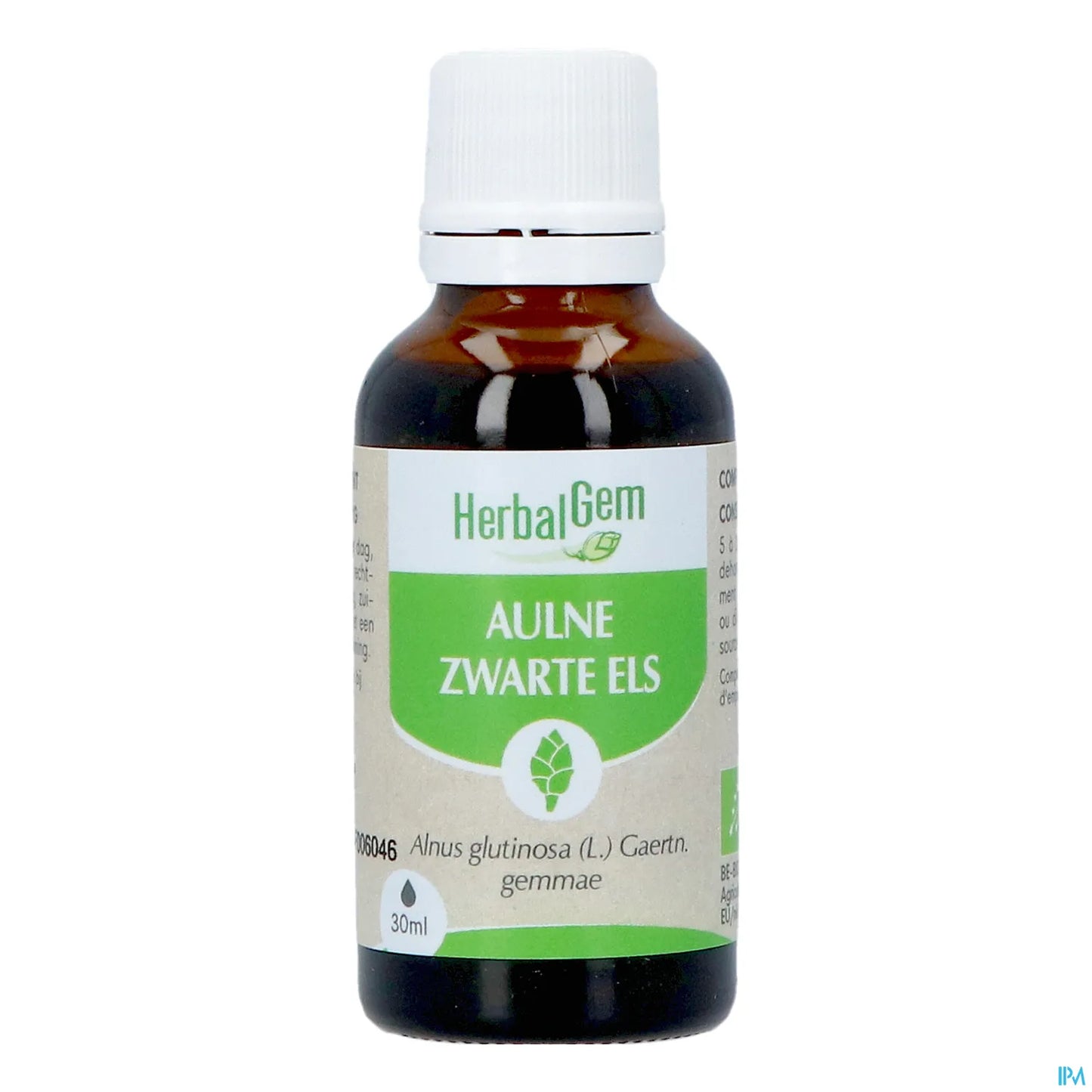 Macérât Aulne Bio 30 mL