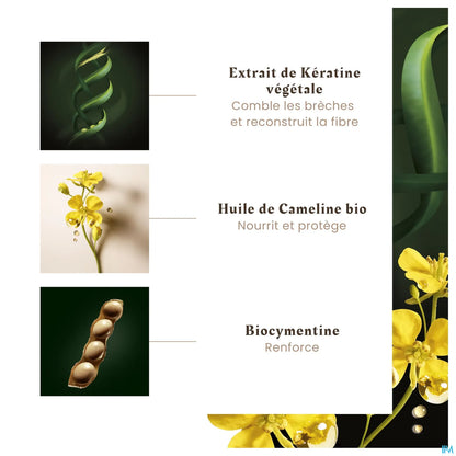 Shampoo riparatore alla cheratina Absolue 200 ml