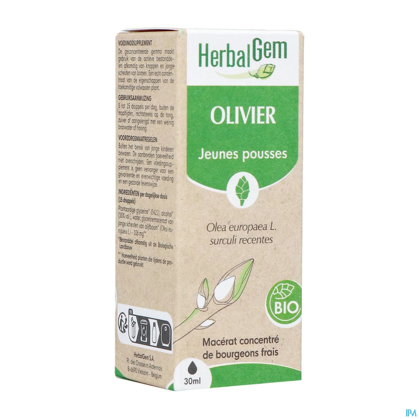 Macérât Bourgeons d'Olivier 30 mL