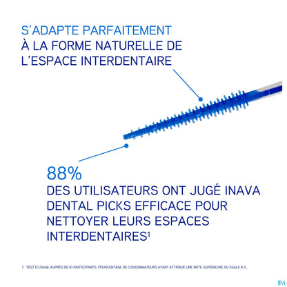 Dental Picks Bâtonnets Interdentaires 36 Unités
