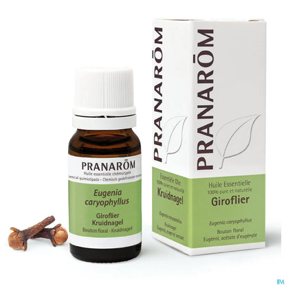 Olio essenziale di chiodi di garofano 10 ml