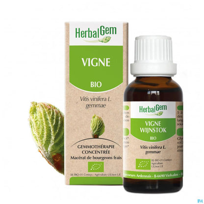 Macerato di vite madre 30 ml