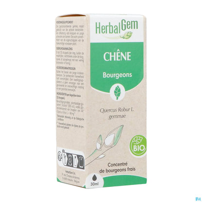 Macérât Mère Chêne Bio 30 mL