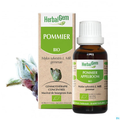 Macerato di melo biologico 30 ml