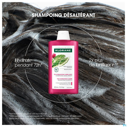 Shampoing Hydratation et Brillance au Figuier de Barbarie 400ml