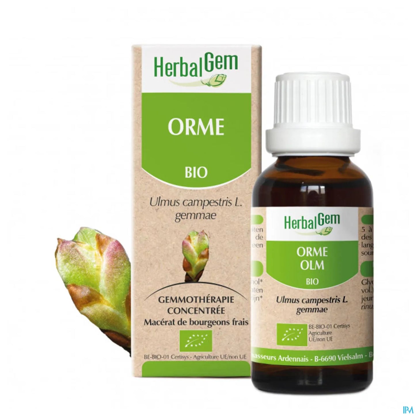 Macerato di olmo biologico Madre 30 ml