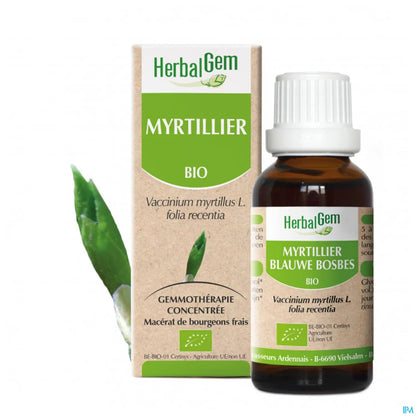 Germogli di mirtillo biologico 30 ml