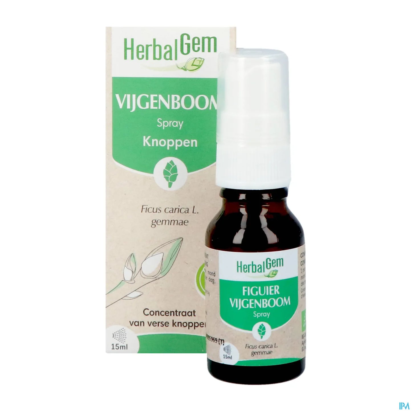 Bourgeon de Figuier Spray 15 mL