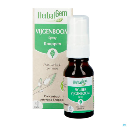 Bourgeon de Figuier Spray 15 mL